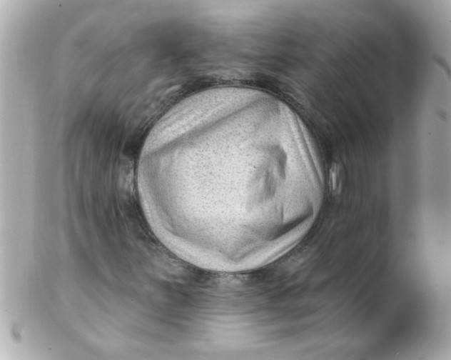 X0000102311251200808152033