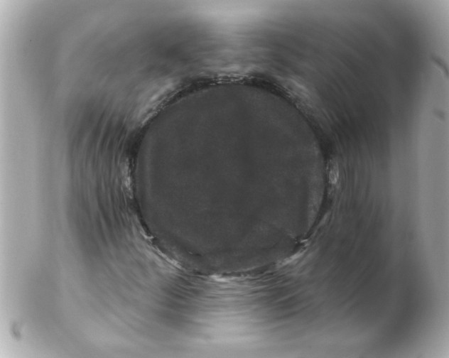 X0000102311252200808152033