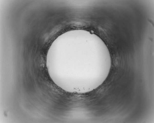 X0000102311253200808152033