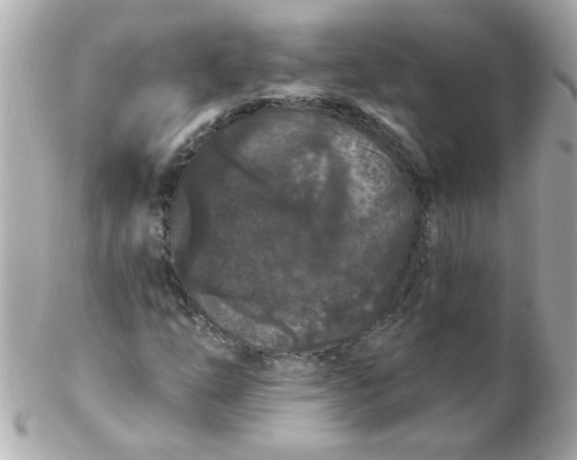 X0000102311254200808152033