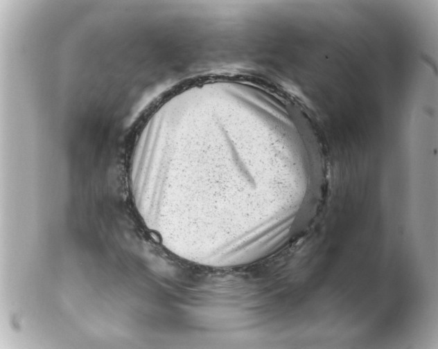 X0000102311256200808152033