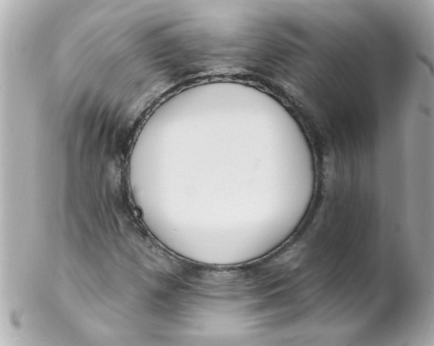 X0000102311257200808152033