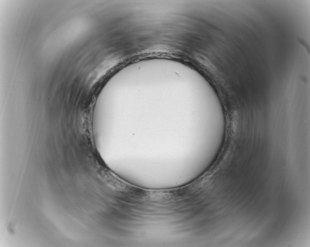 X0000102311258200808152033