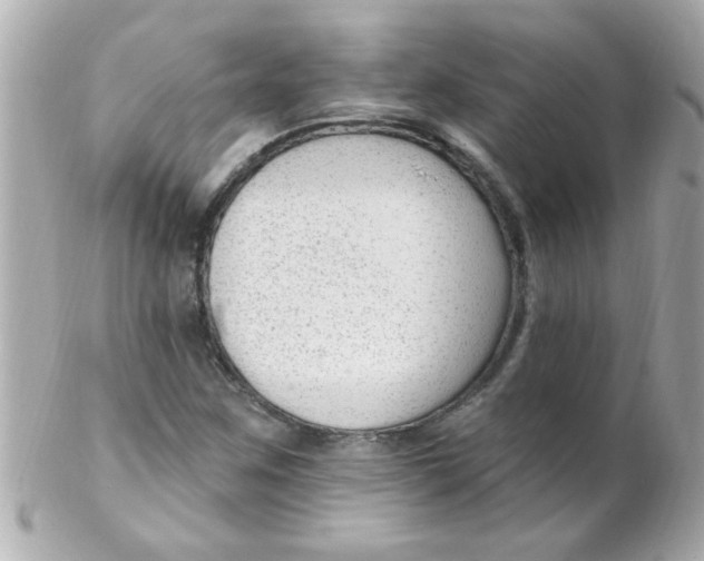 X0000102311259200808152033