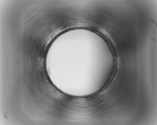 X0000102311260200808152033