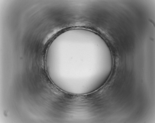 X0000102311262200808152033
