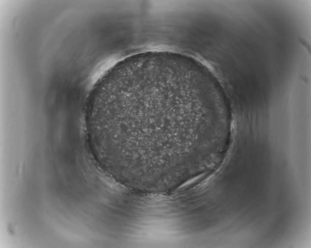 X0000102311263200808152033