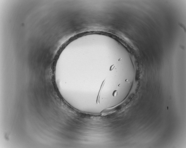 X0000102311264200808152032