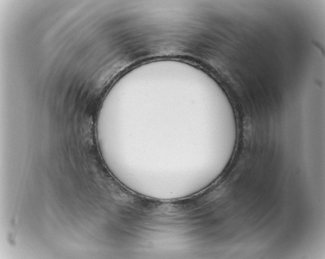 X0000102311265200808152032