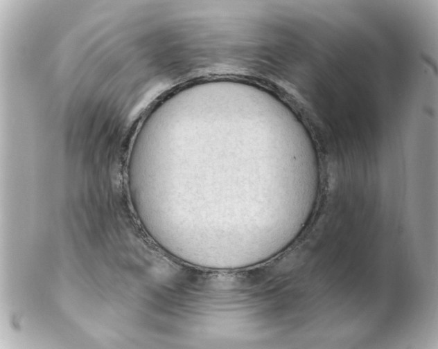 X0000102311266200808152032