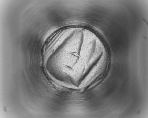 X0000102311267200808152032