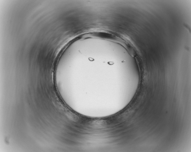 X0000102311268200808152032