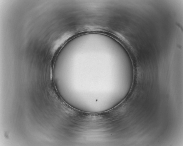 X0000102311269200808152032