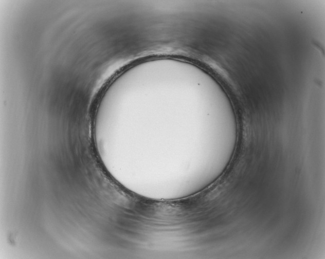 X0000102311270200808152032