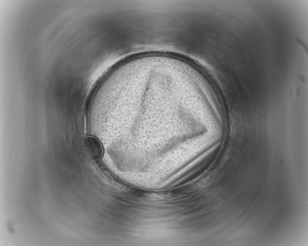 X0000102311271200808152032