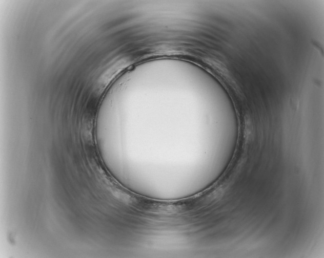X0000102311273200808152032