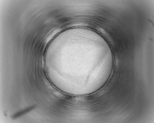 X0000102311274200808152032