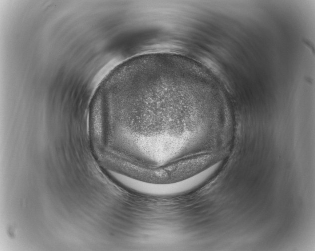 X0000102311275200808152032