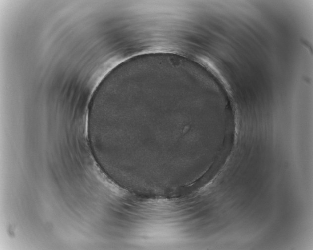 X0000102311276200808152032