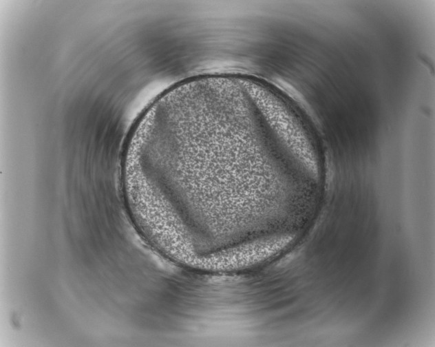 X0000102311277200808152032