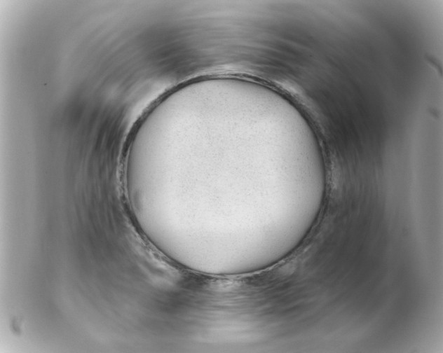 X0000102311278200808152032