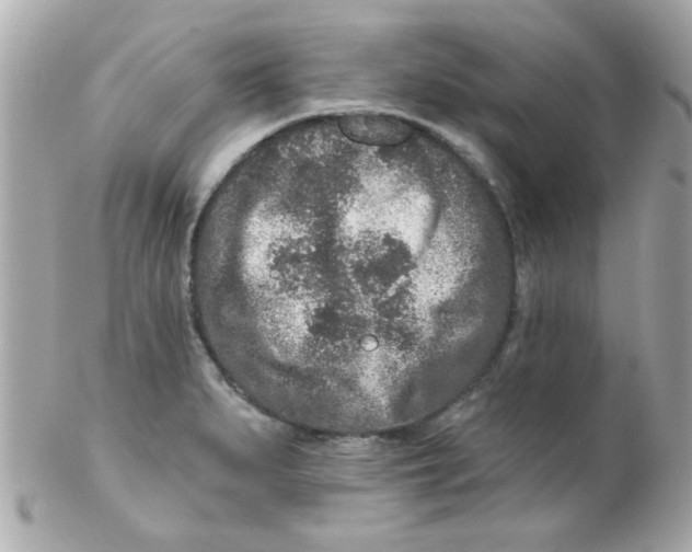 X0000102311279200808152032