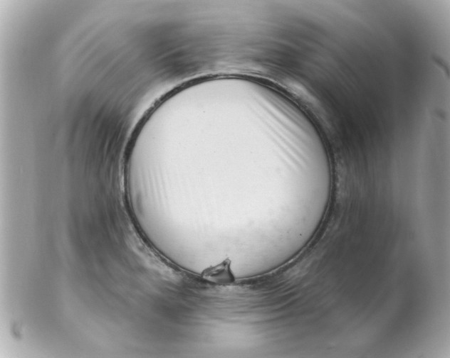 X0000102311280200808152032