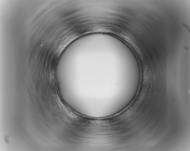 X0000102311281200808152032