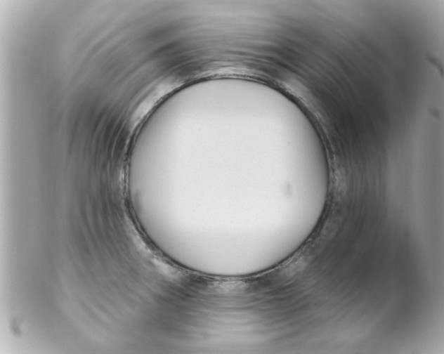 X0000102311282200808152032