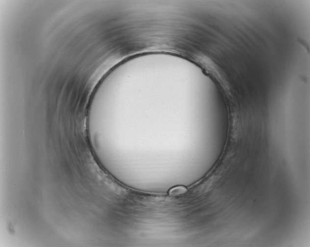 X0000102311284200808152032