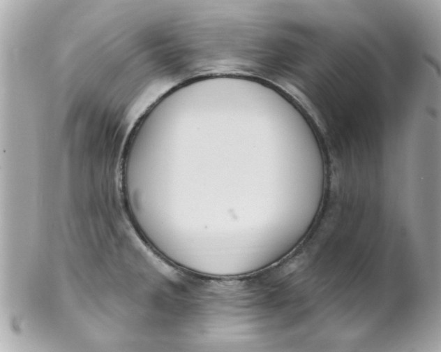 X0000102311285200808152032
