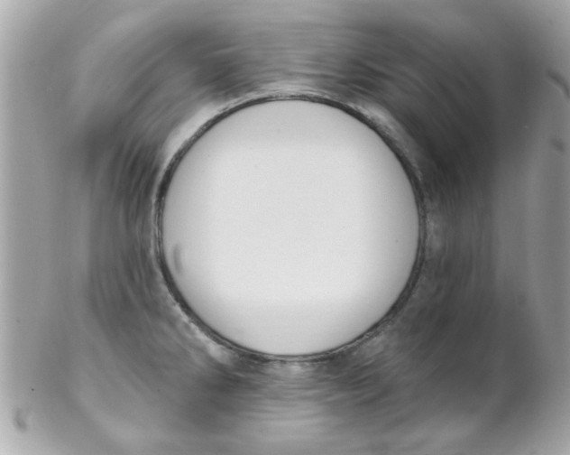 X0000102311286200808152032