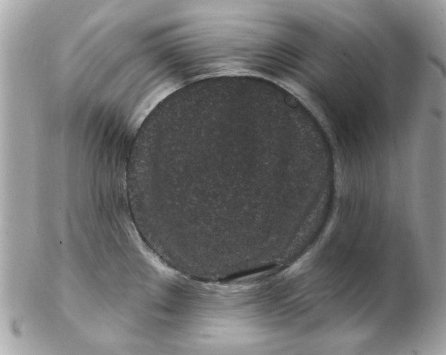 X0000102311289200808152032