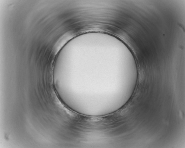 X0000102311290200808152032