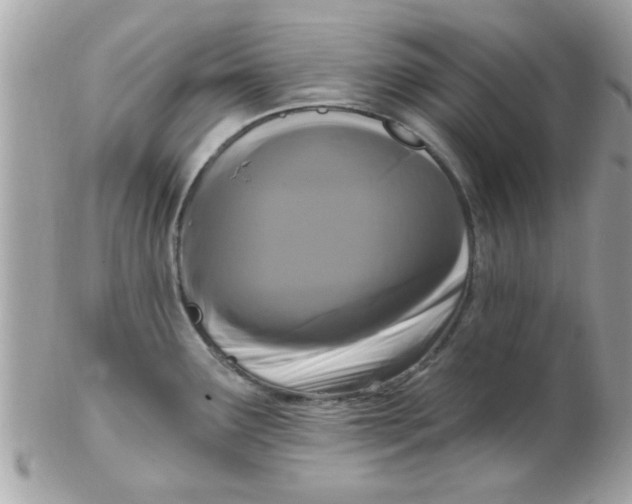 X0000102311291200808152032
