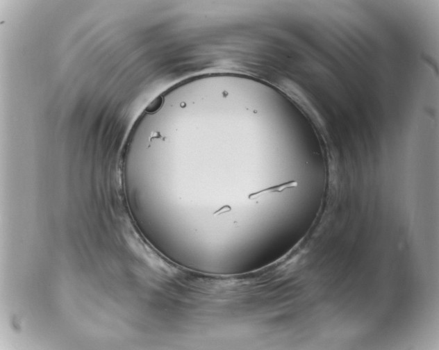 X0000102311292200808152032