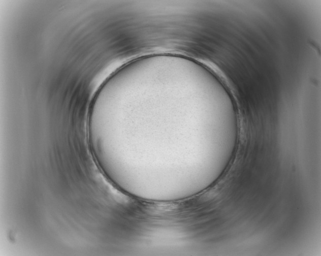 X0000102311294200808152032