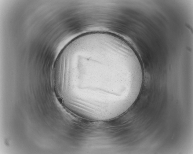 X0000102311295200808152032