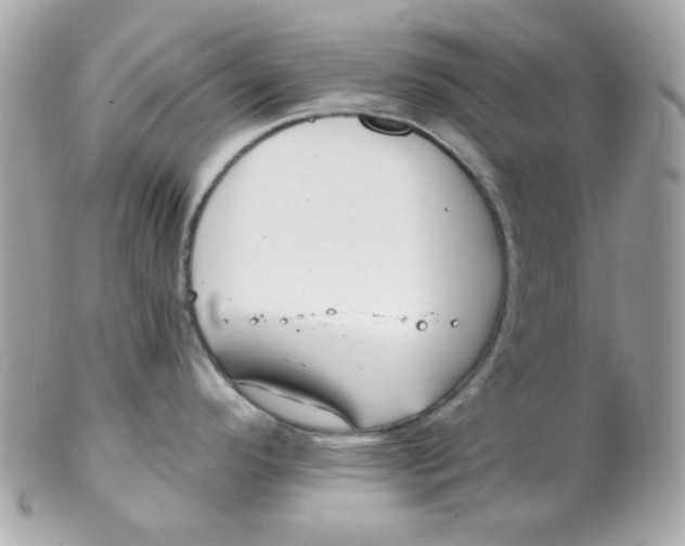 X0000102311296200808152032