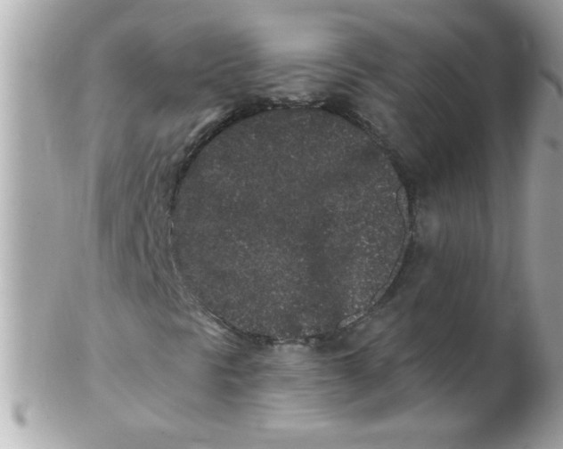 X0000102311297200808152031