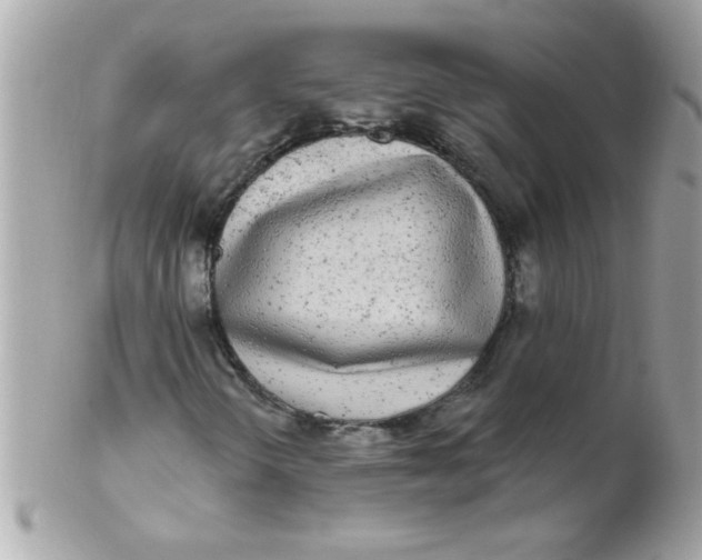 X0000102311298200808152031