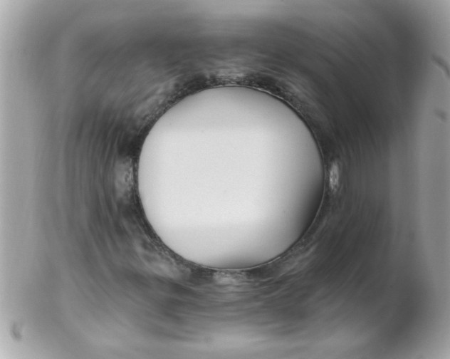 X0000102311299200808152031