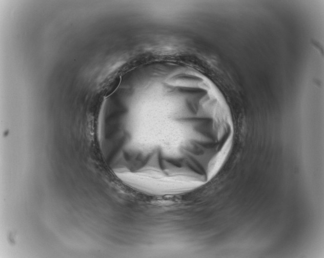 X0000102311301200808152031