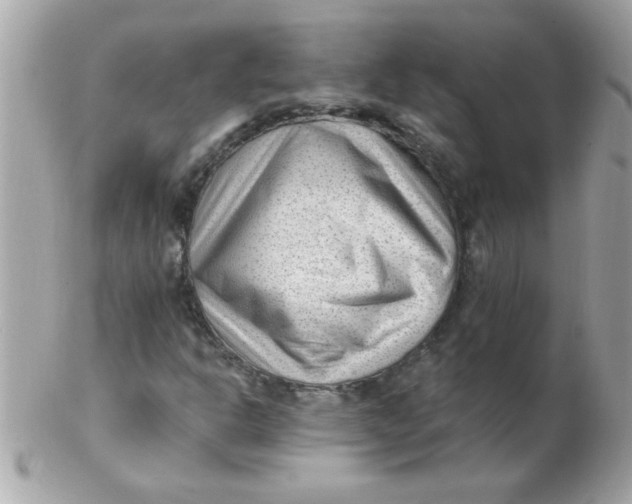 X0000102311302200808152031