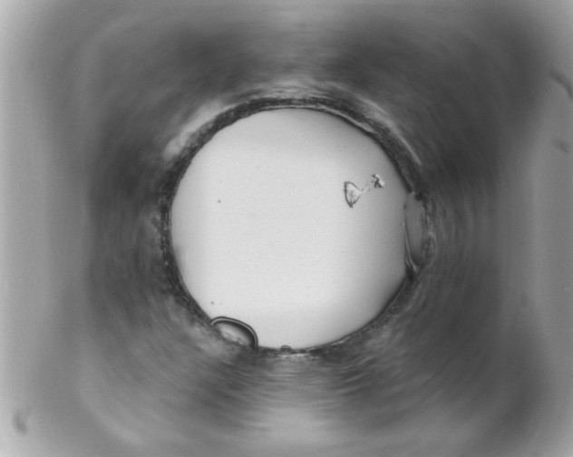 X0000102311304200808152031