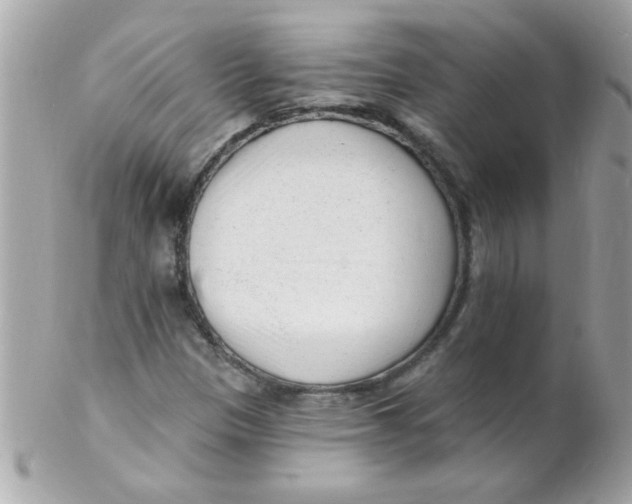 X0000102311305200808152031