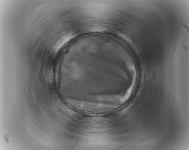 X0000102311306200808152032