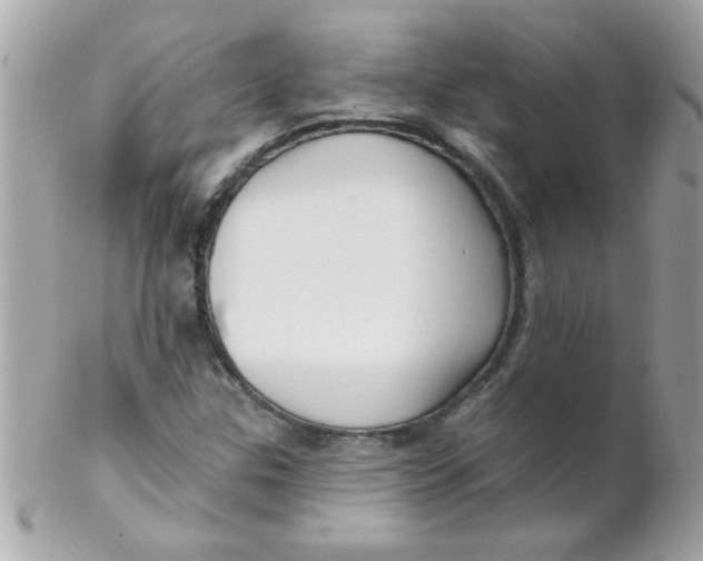 X0000102311307200808152032