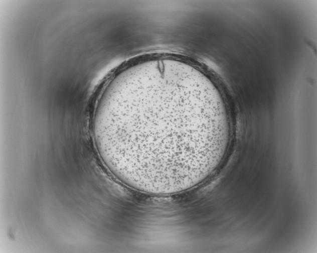 X0000102311310200808152032