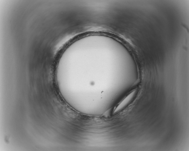 X0000102311311200808152032